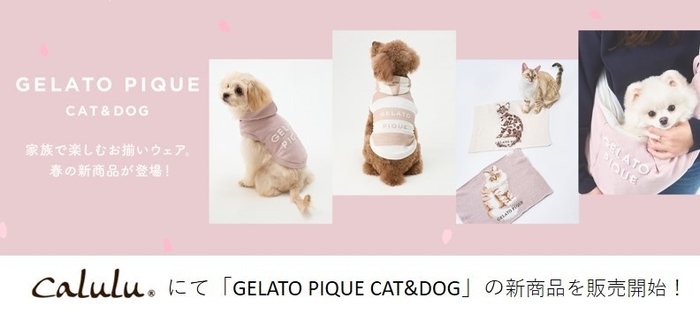 Caluluにて「GELATO PIQUE CAT&DOG」の新商品を販売開始!
