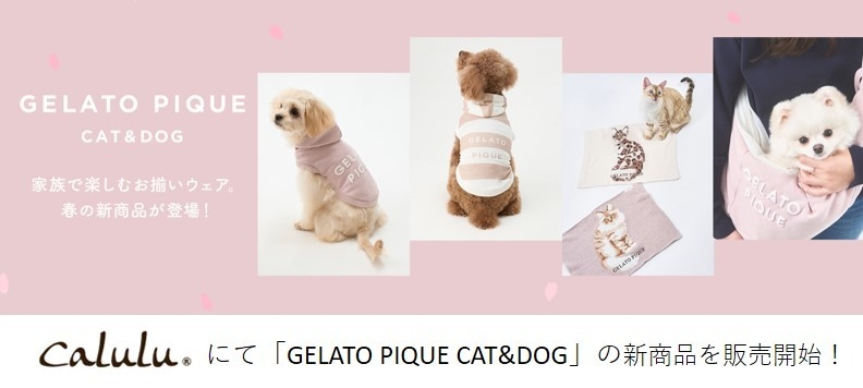 Caluluにて「GELATO PIQUE CAT&DOG」の新商品を販売開始!