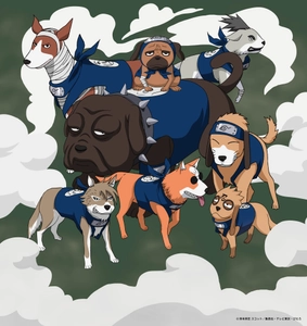 『NARUTO＆BORUTO 忍里』　はたけカカシ誕生祭
「いでよ、相棒！口寄せの術」に“八忍犬”が登場！
8月15日（土）より期間限定開催