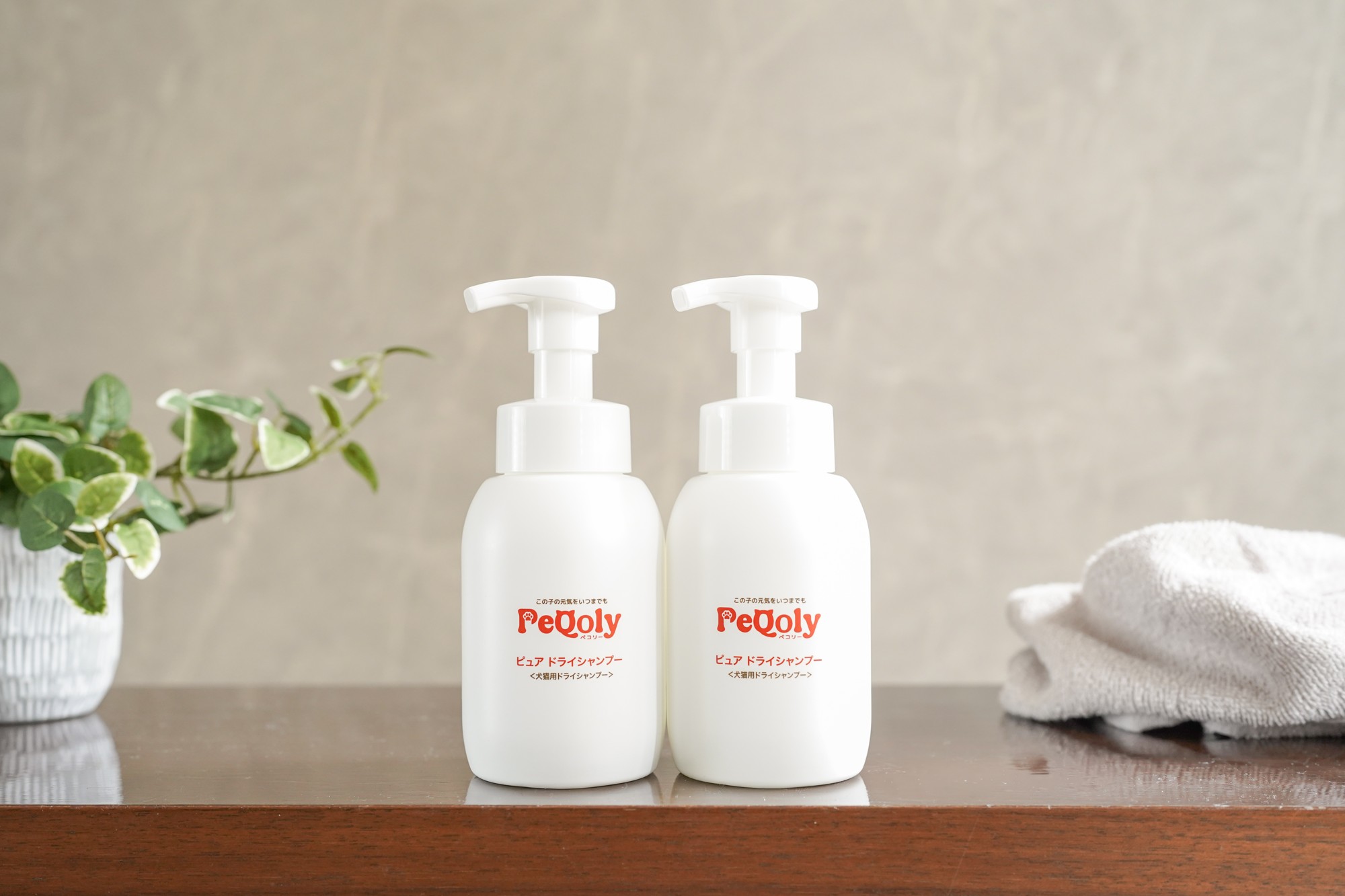 この子の“いつも元気”を、日々のケアで守る。
犬・猫向け総合ケアブランド「PeQoly(ペコリー)」誕生