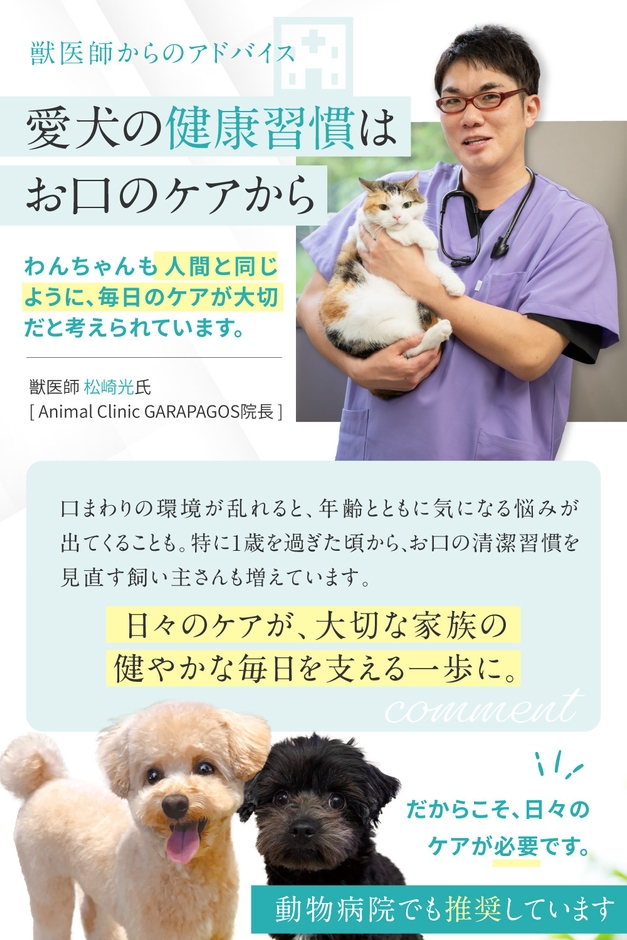 愛犬の健康習慣はお口のケアから
