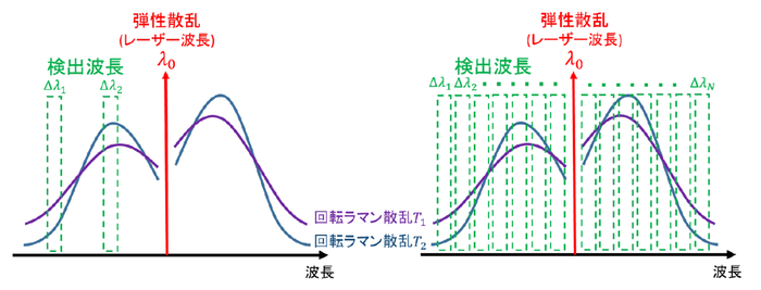 図1　回転ラマン散乱光スペクトルの検出方法。左：干渉フィルターを用いた分光検出(従来手法)、右：多波長分光検出器を用いた分光検出(本手法)