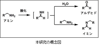 本研究の概念図