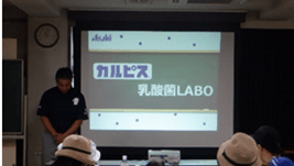 乳酸菌LABO(イメージ)