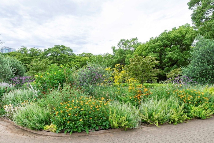 第１回代々木公園のグランプリガーデン