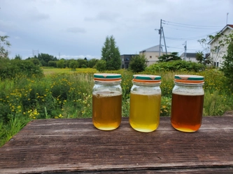 菩提樹、せん、そばの花から採れた個性的な蜂蜜が到着！ 8月に採れた北海道の3種類のローハニー（生蜂蜜）