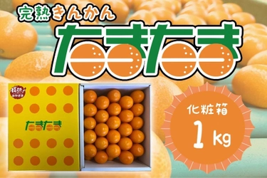 宮崎ブランドの完熟きんかん「たまたま」！ 産地直送通販サイト「ＪＡタウン」で販売開始！