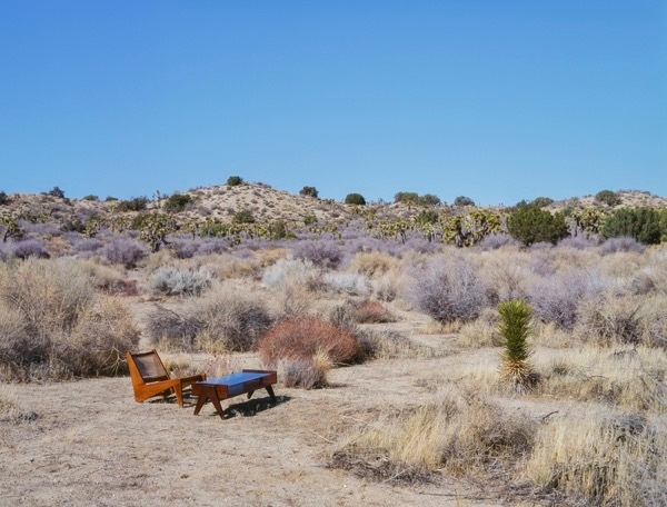 ■左からカンガルーチェア　￥572,000/センターテーブル　￥462,000　Photo by Koki Sato