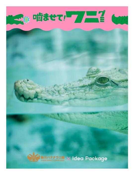 熱川バナナワニ園 購入特典ステッカー2