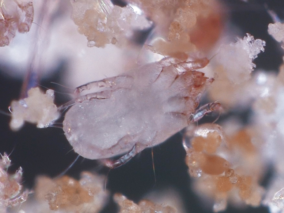 対策講座イメージ_03