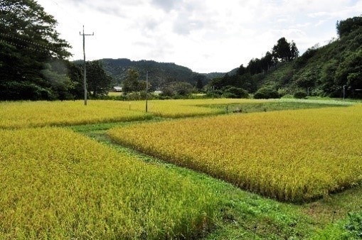 高萩地方の田園風景