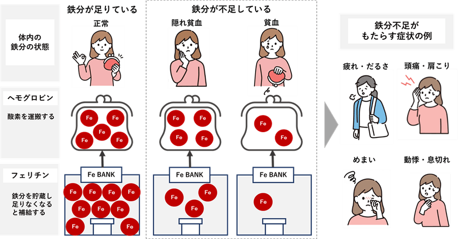 図１　鉄分不足の体内状況と症状