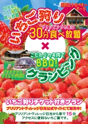 冬の日光でグランピング＆いちご狩りを満喫！ 「ブリリアントヴィレッジ日光」で限定プランがスタート！ 幻想的なイルミネーションにあわせクリスマスプランも同時発売