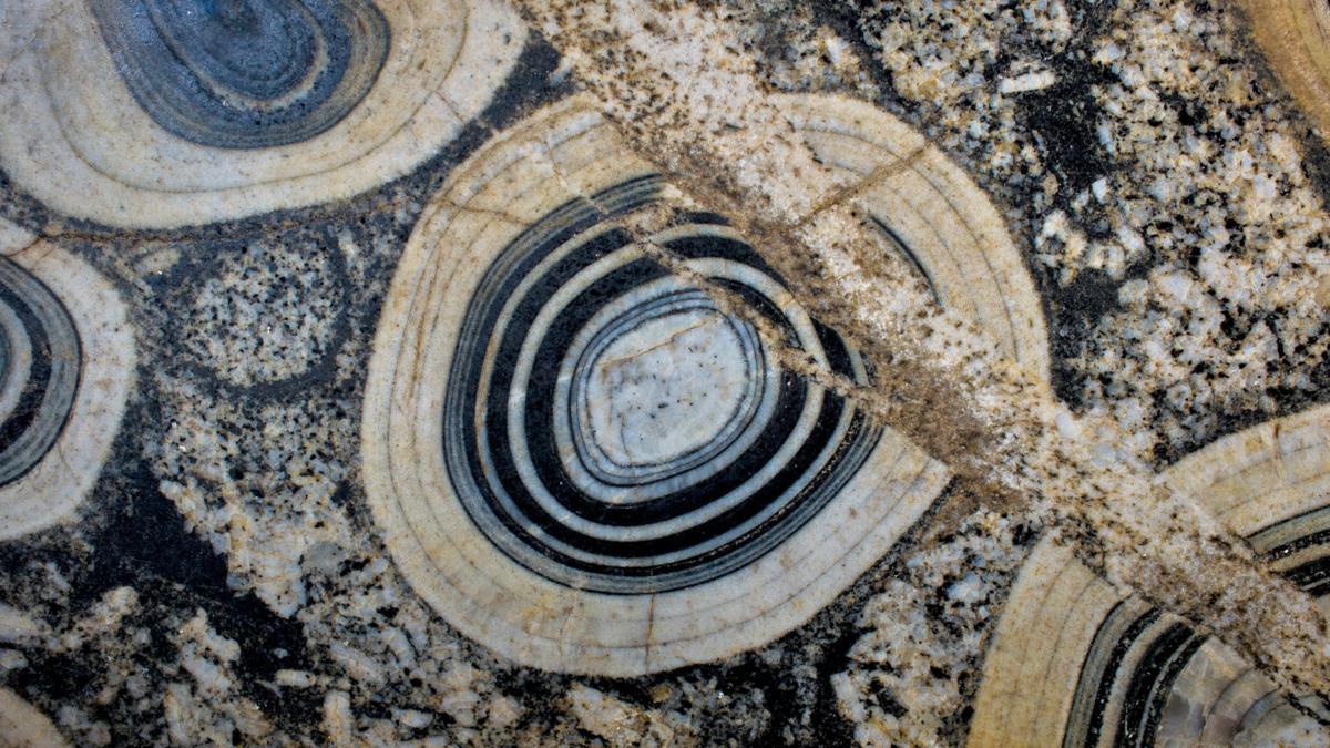 オルガノイドとスフェロイドの世界市場-成長機会を伴う現在の業界数値の詳細分析と2028年までの成長予測