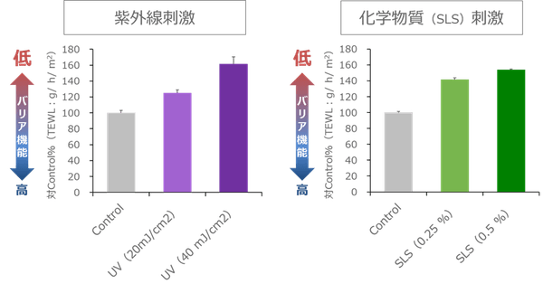 図2　外部刺激による肌バリア機能への影響