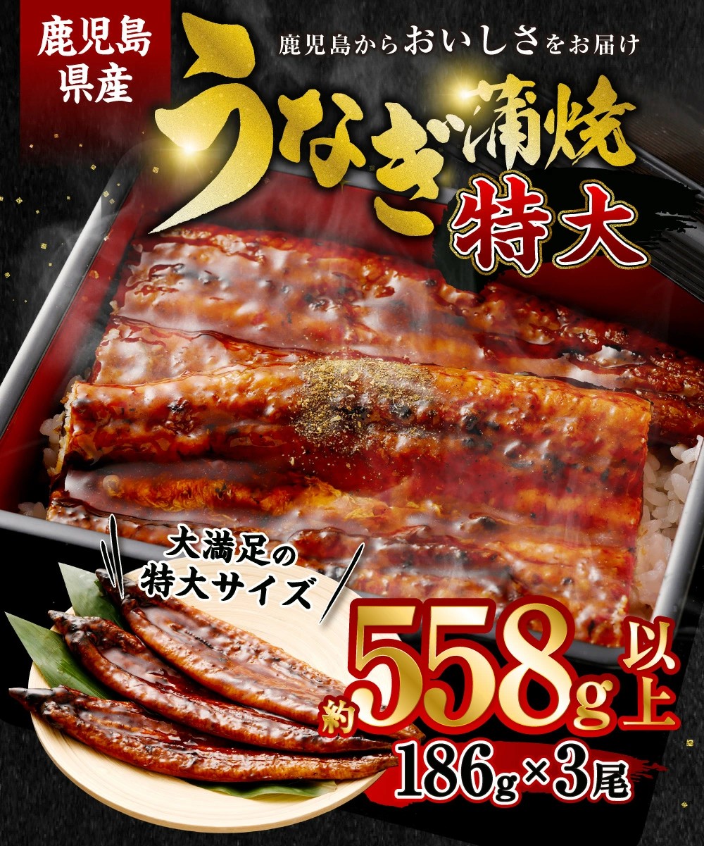 大特価　数量限定　鹿児島県産　蒲焼６尾 鹿児島県薩摩川内市ふるさと納税】数量限定の極上グルメ！特大