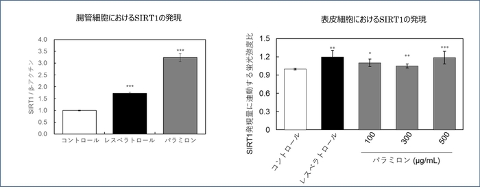 図1、2