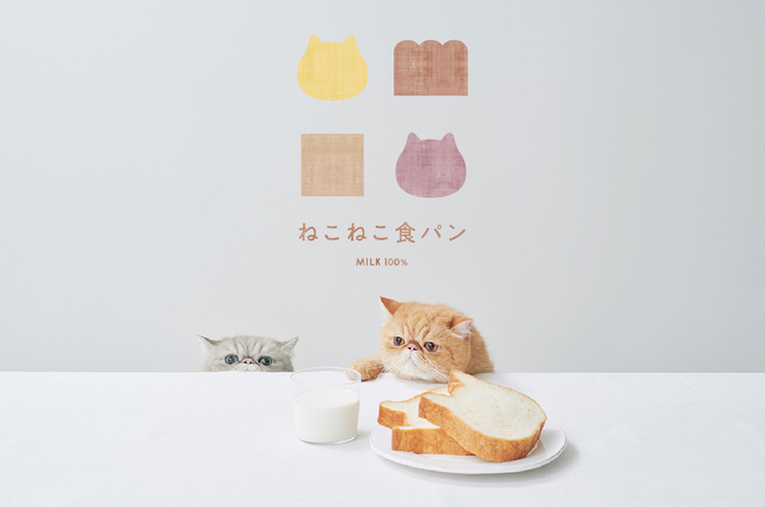 4月15日(水)より、ねこの形の高級食パン専門店「ねこねこ食パン」がオンライン販売を開始！