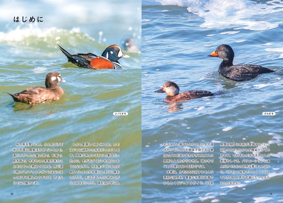 『にっぽんのカモ』はじめに
