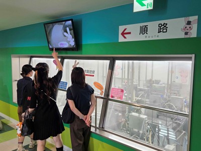 工場見学の様子