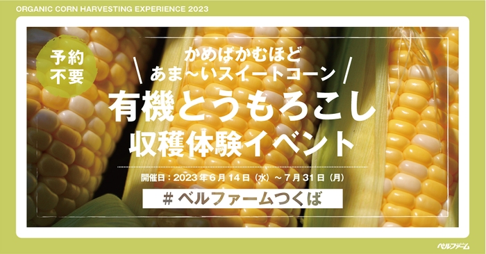 有機とうもろこし収穫体験イベントイメージ画像①