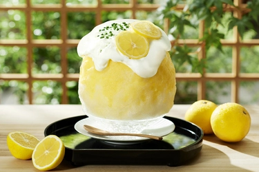 大人気！とろふわかき氷に「湘南ゴールド」新登場！ 7/16(金)　個性豊かなかき氷が19種大集結！ 「鎌倉小町かき氷祭2021」を開催