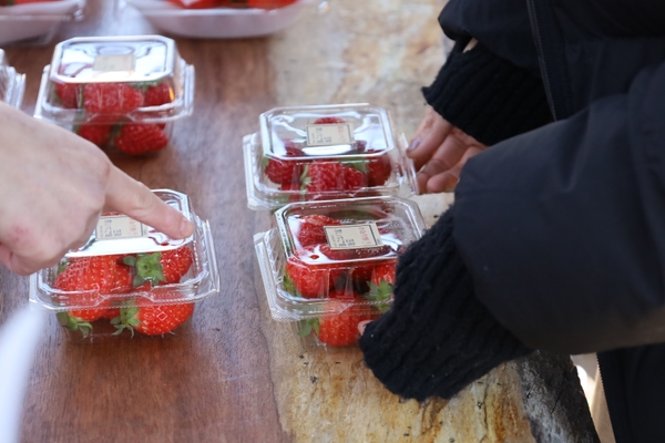 この季節ならではの旬の食材が並ぶ