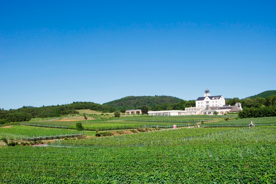 中伊豆ワイナリー シャトーT.S