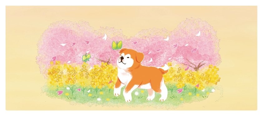【春】桜と菜の花・雪解けの風景