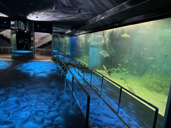 1階 大水槽展示室