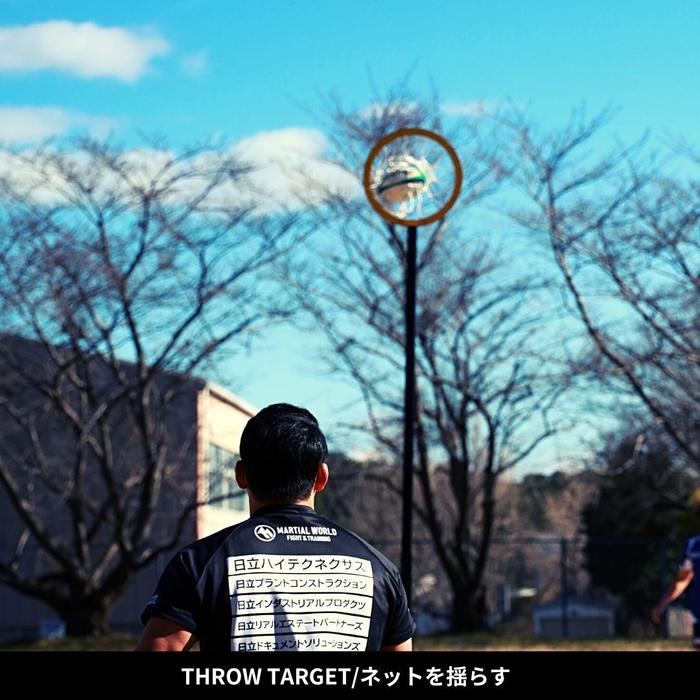 throw target(3)