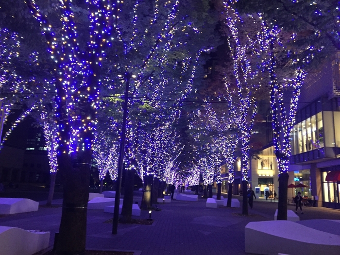 グランモール公園　イルミネーション