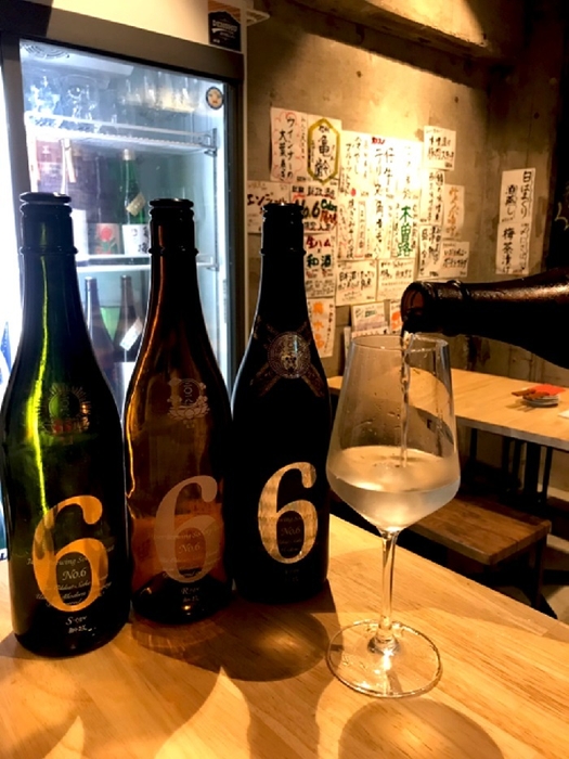 NO.6