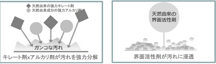 メカニズム図(イメージ)