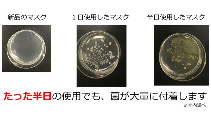 マスクに付着の菌について　ポケスター