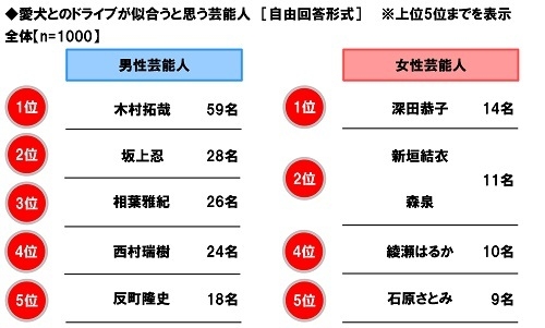 愛犬とのドライブが似合うと思う芸能人