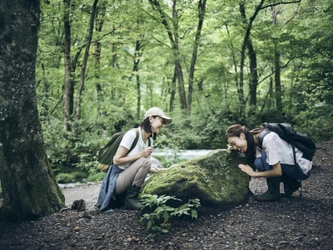 奥入瀬渓流ホテル　時代は“苔ガール”！？苔がテーマのアクティビティ・食事などがセットになった「苔ガールステイ」開催　提供時期：2020年5月7日～7月31日