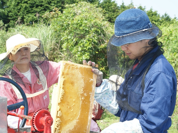 ハニーハンター市川拓三郎