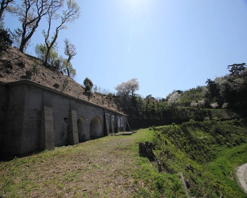 ロケ地巡りしながらレモン狩り、11/7から開始！ 歴史遺産見学(砲台跡)もできる神奈川・横須賀浦賀の農園にて