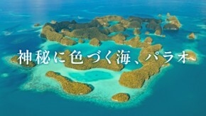 パラオ