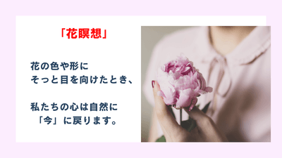 無料動画講座の内容