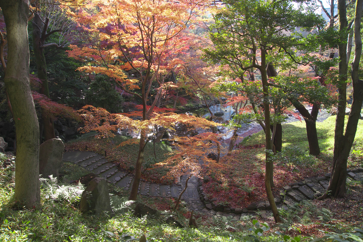 小石川後楽園「深山紅葉を楽しむ」今週末から開催 / 2022年11月18日～12月4日