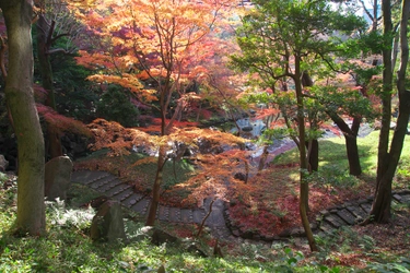 小石川後楽園「深山紅葉を楽しむ」今週末から開催 / 2022年11月18日～12月4日