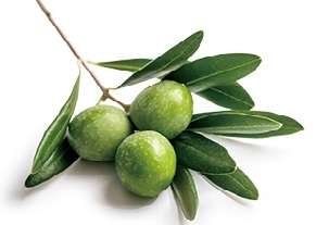 オリーブ果実油 *² やホホバ種子油 *³ などの植物成分で肌をしっとりなめらかに。