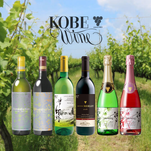 神戸ワイン《６種セット》