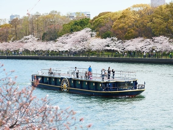 トップ　ひまわり