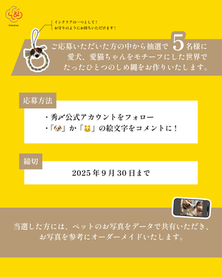 Instagram詳細