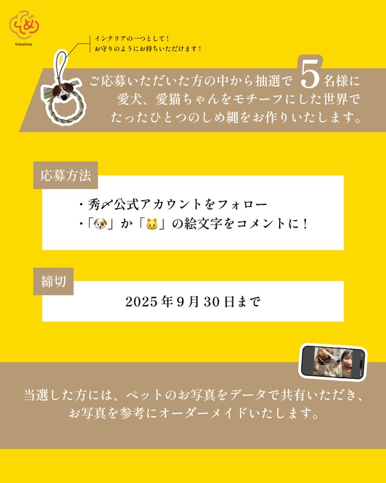 Instagram詳細