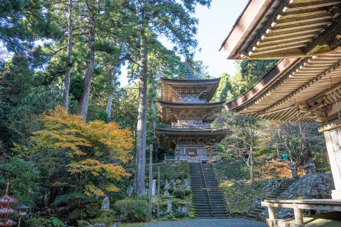 国宝・明通寺の本堂と三重塔