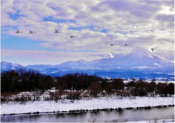 ＜フォトコンテスト２０２４一般部門金賞作品＞